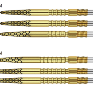DS Swiss Points